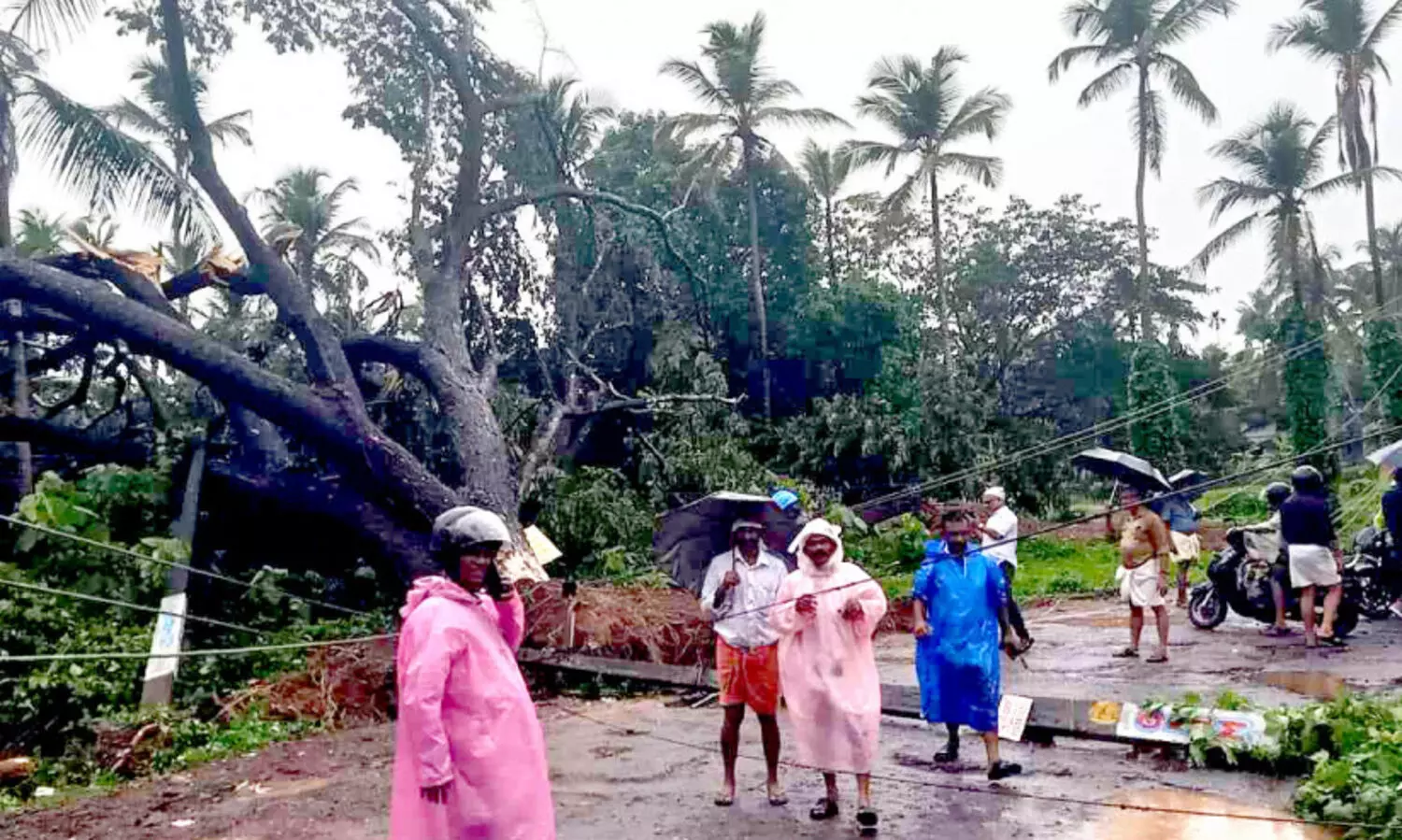 മ​ഴ ക​ന​ക്കു​ന്നു; ഇ​ന്നും നാ​ളെ​യും റെ​ഡ് അ​ല​ർ​ട്ട്