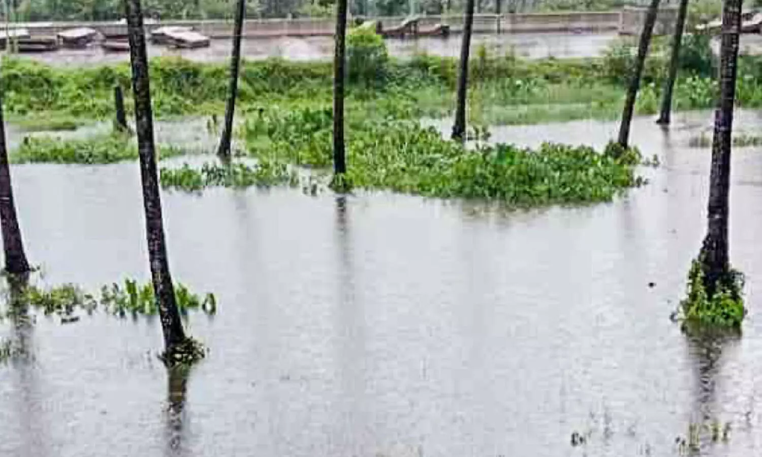 ബൈപാസ് നിർമാണത്തിന് തോടുകൾ അടച്ചു; വീടുകൾ വെള്ളക്കെട്ട് ഭീഷണിയിൽ