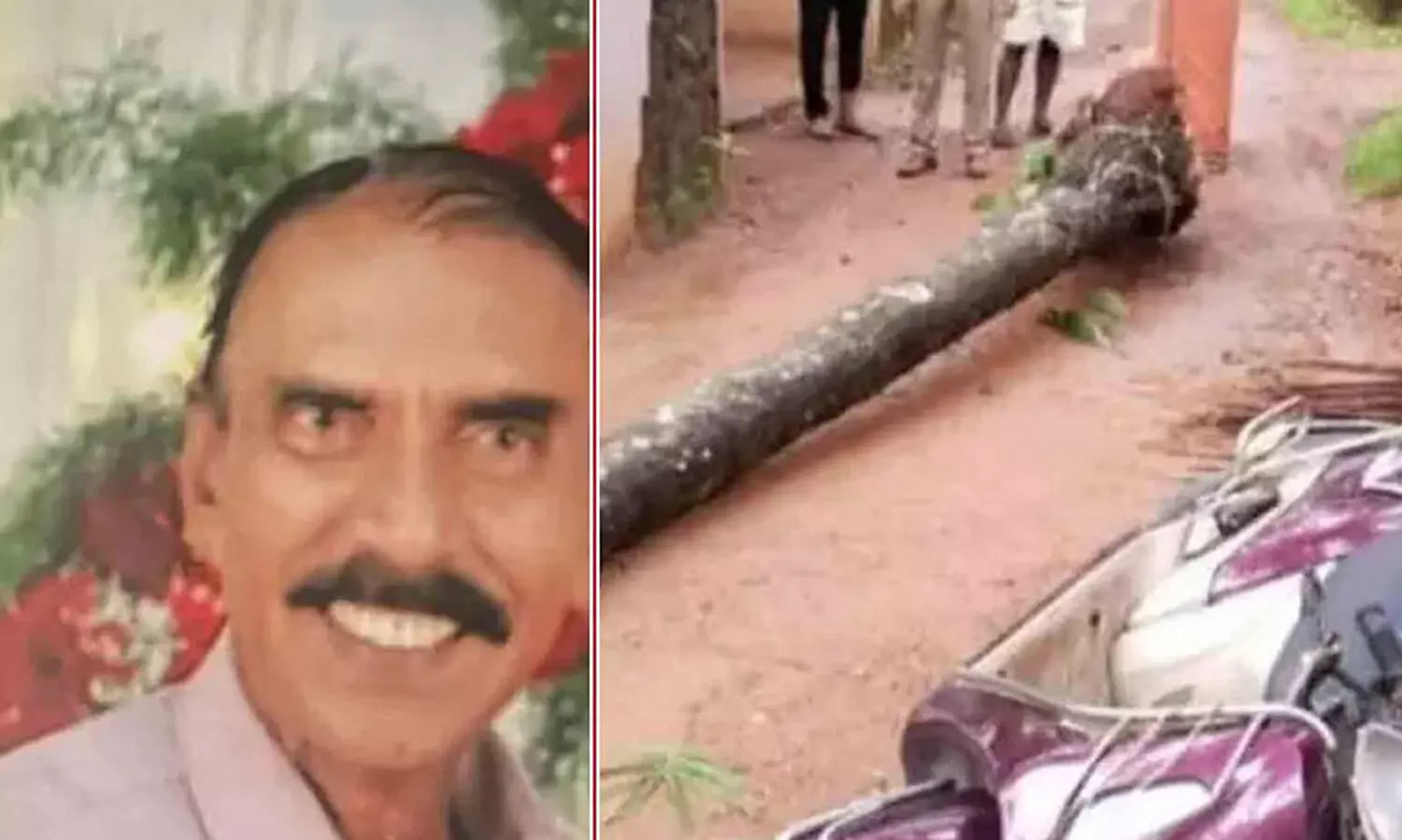 വടകരയിൽ തെങ്ങ് കടപുഴകി വീണ് സ്കൂട്ടർ യാത്രക്കാരന് ദാരുണാന്ത്യം