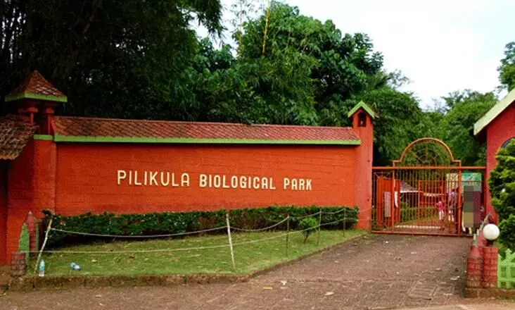 മൃ​ഗ​ശാ​ല മ​റ​വി​ൽ വ​ൻ ക്ര​മ​ക്കേ​ട്; പി​ലി​ക്കു​ള ഉ​ദ്യാ​ന​ത്തി​ൽ ലോ​കാ​യു​ക്ത റെ​യ്ഡ്