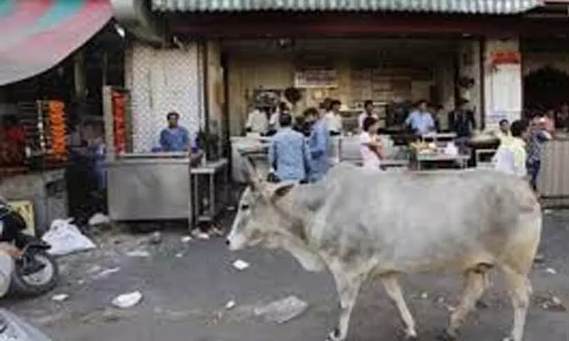 യു.പിയിൽ ബീഫ് കടത്തിയെന്നാരോപിച്ച് നാലംഗസംഘത്തെ മർദിച്ചു