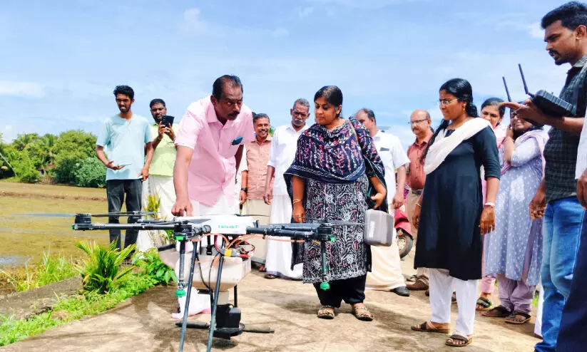 തിരുവാർപ്പിൽ ഇത്തവണയും ഡ്രോണുകൾ വിത്ത് വിതക്കും; 170 ഹെക്ടറോളം വരുന്ന പാടശേഖരത്താണ് വിത്തുവിതക്കുന്നത് തിരുവാർപ്പിൽ ഇത്തവണയും ഡ്രോണുകൾ വിത്ത് വിതക്കും; 170 ഹെക്ടറോളം വരുന്ന പാടശേഖരത്താണ് വിത്തുവിതക്കുന്നത്