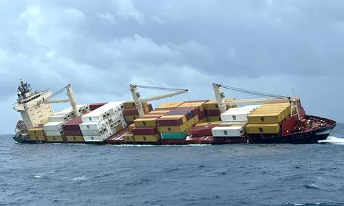 nsc elsa 3 786768 nsc elsa 3 786768