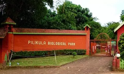 മൃ​ഗ​ശാ​ല മ​റ​വി​ൽ വ​ൻ ക്ര​മ​ക്കേ​ട്; പി​ലി​ക്കു​ള ഉ​ദ്യാ​ന​ത്തി​ൽ ലോ​കാ​യു​ക്ത റെ​യ്ഡ്