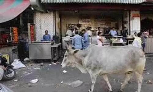 യു.പിയിൽ ബീഫ് കടത്തിയെന്നാരോപിച്ച് നാലംഗസംഘത്തെ മർദിച്ചു