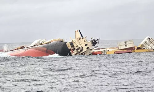 msc elsa 3 9879879 msc elsa 3 9879879