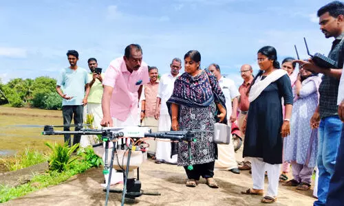 തിരുവാർപ്പിൽ ഇത്തവണയും ഡ്രോണുകൾ വിത്ത്​ വിതക്കും; 170 ഹെ​ക്ട​റോ​ളം വ​രു​ന്ന പാ​ട​ശേ​ഖ​ര​ത്താ​ണ് വി​ത്തു​വി​ത​ക്കു​ന്ന​ത്