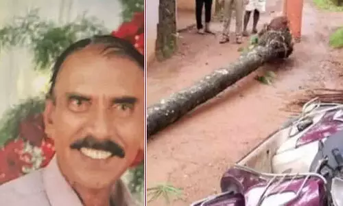 വടകരയിൽ തെങ്ങ് കടപുഴകി വീണ് സ്കൂട്ടർ യാത്രക്കാരന് ദാരുണാന്ത്യം