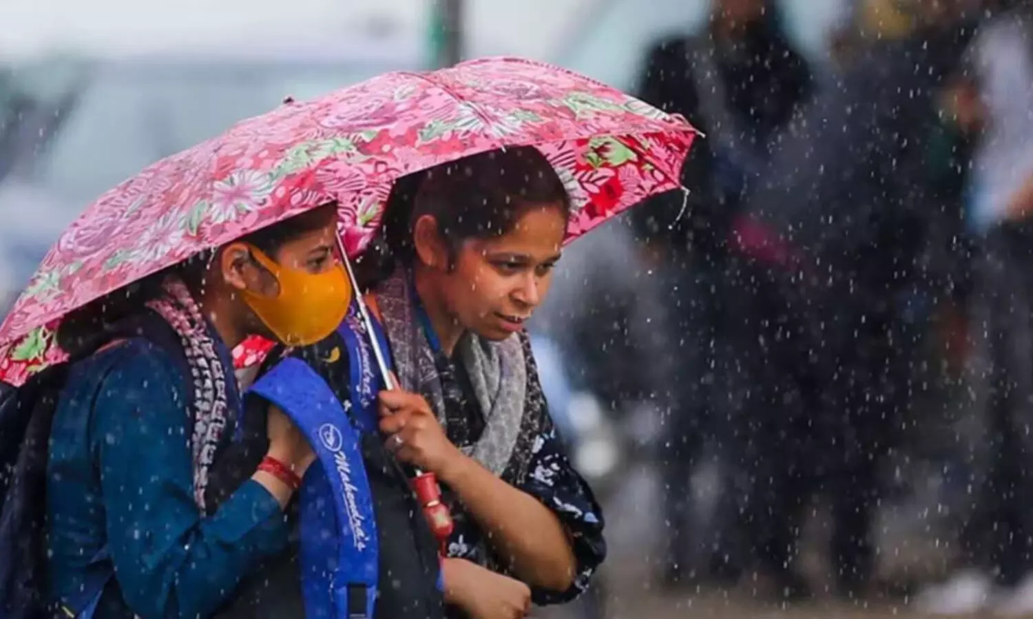 കനത്ത മഴ; കണ്ണൂർ, കോട്ടയം ജില്ലകളിലെ വിദ്യാഭ്യാസ സ്ഥാപനങ്ങൾക്ക് നാളെ അവധി