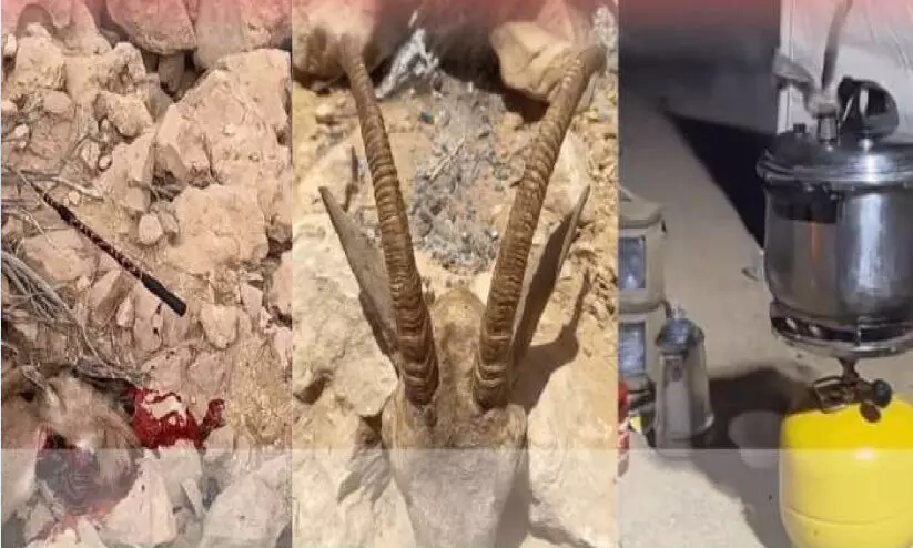 വ​ന്യ​ജീ​വി​ക​ളെ വേ​ട്ട​യാ​ട​ൽ; മൂ​ന്നു​പേ​ർ അ​റ​സ്റ്റി​ൽ