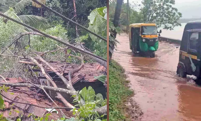 മലയോരത്ത് കനത്ത മഴയും കാറ്റും; വ്യാപക നാശനഷ്ടം മലയോരത്ത് കനത്ത മഴയും കാറ്റും; വ്യാപക നാശനഷ്ടം