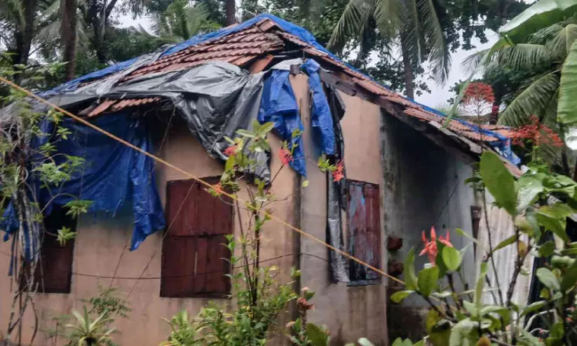 ജില്ലയിൽ കനത്ത മഴ; പരക്കെ നാശം ജില്ലയിൽ കനത്ത മഴ; പരക്കെ നാശം