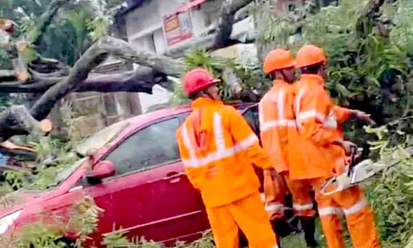 കാ​ല​വ​ർ​ഷം ശ​ക്തം;നാ​ല് വീ​ടു​ക​ൾ പൂ​ർ​ണ​മാ​യും 40 എ​ണ്ണം ഭാ​ഗി​ക​മാ​യും ത​ക​ർ​ന്നു