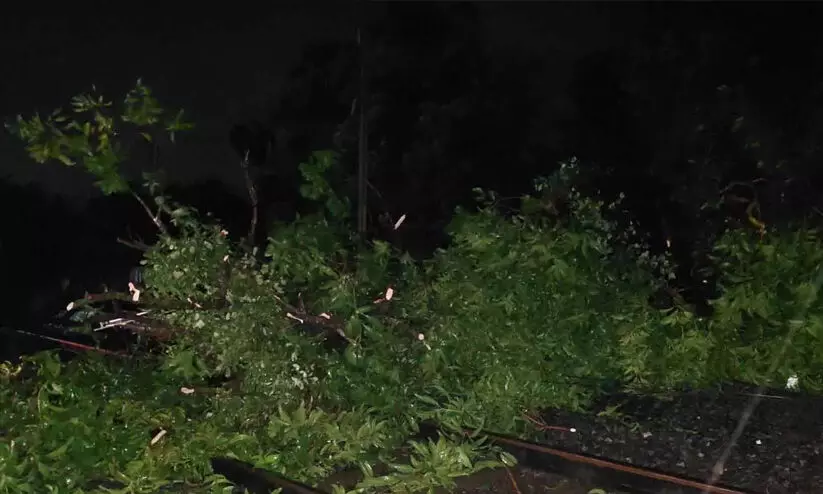 ​ട്രെയിനുകൾ മണിക്കൂറൂകൾ വൈകും; കോഴി​ക്കോടും ആലുവയിലും റെയിൽവെ ട്രാക്കിൽ മരം പൊട്ടിവീണ് ​ട്രെയിൻ ഗതാഗതം താറുമാറായി