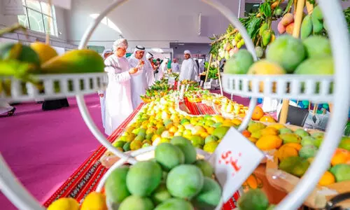 ഖോ​ർ​ഫ​ക്കാ​ൻ മാ​മ്പ​ഴോ​ത്സ​വം ജൂ​ൺ 27 മു​ത​ൽ