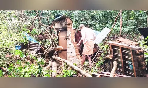 കാലവര്‍ഷം; വ്യാ​പ​ക കൃ​ഷി​നാ​ശം, വീ​ടു​ക​ള്‍ ത​ക​ര്‍ന്നു, വൈ​ദ്യു​തി തടസ്സപ്പെട്ടു