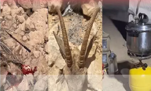 വ​ന്യ​ജീ​വി​ക​ളെ വേ​ട്ട​യാ​ട​ൽ; മൂ​ന്നു​പേ​ർ അ​റ​സ്റ്റി​ൽ