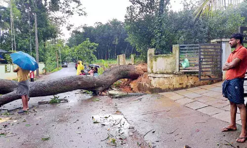 മലയോരത്ത് പെരുമഴ; വ്യാപക നാശം