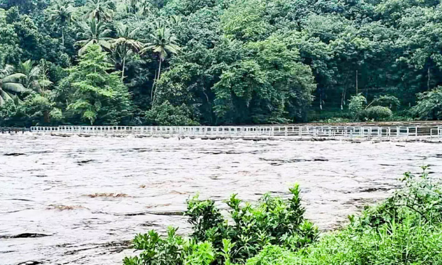 ഒറ്റപ്പെടൽ ഭീഷണിയിൽ അറയാഞ്ഞിലിമൺ