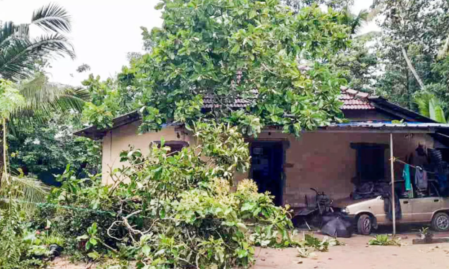 ജി​ല്ല​യി​ല്‍ 141 വീ​ടു​ക​ൾ ഭാ​ഗി​ക​മാ​യും 12 എണ്ണം പൂ​ർ​ണ​മാ​യും ത​ക​ര്‍ന്നു