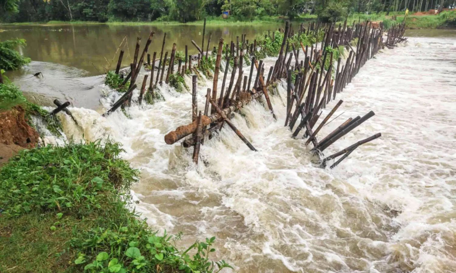 കനത്ത മഴയിൽ കിഴുപ്പിള്ളിക്കര മുനയം ബണ്ട് തകർന്നു