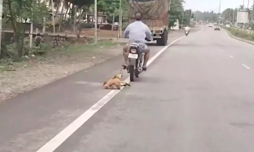 നാ​യെ ബൈ​ക്കി​ൽ ച​ങ്ങ​ല​ക്കി​ട്ട് വ​ലി​ച്ച​യാ​ൾ അ​റ​സ്റ്റി​ൽ