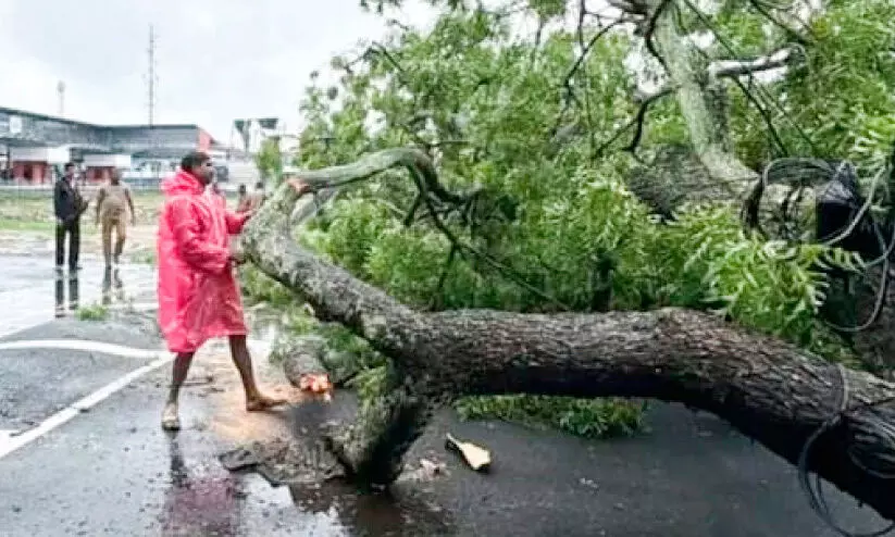 ഓ​ടി​ക്കൊ​ണ്ടി​രു​ന്ന കാ​റി​നു​മേ​ൽ മ​രം പൊ​ട്ടി​വീ​ണു
