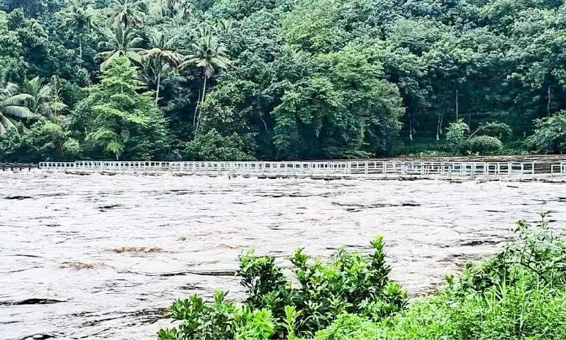 ഒറ്റപ്പെടൽ ഭീഷണിയിൽ അറയാഞ്ഞിലിമൺ ഒറ്റപ്പെടൽ ഭീഷണിയിൽ അറയാഞ്ഞിലിമൺ