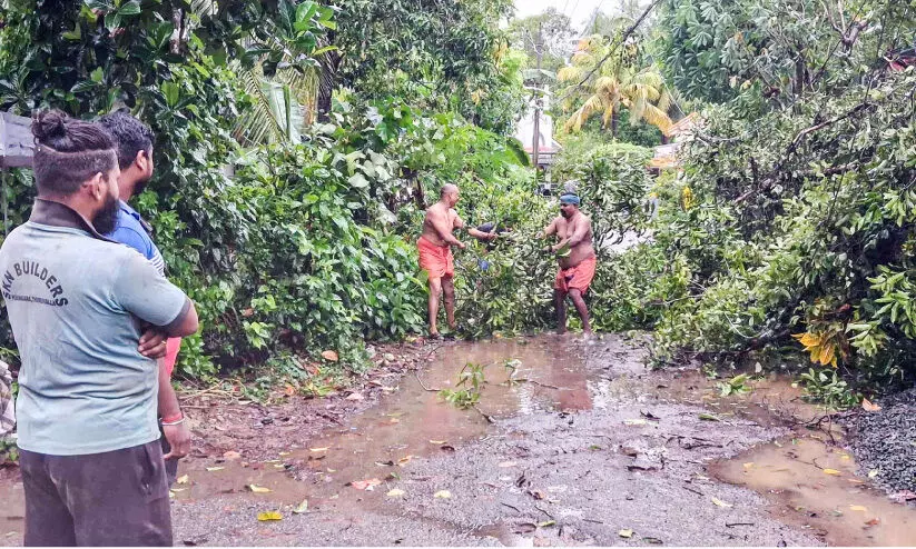 ജില്ലയിൽ കനത്ത മഴ; നദികളിൽ ജലനിരപ്പ് ഉയർന്നു