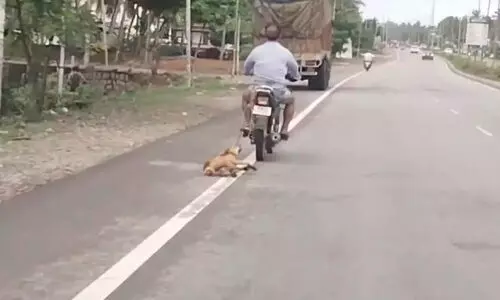 നാ​യെ ബൈ​ക്കി​ൽ ച​ങ്ങ​ല​ക്കി​ട്ട് വ​ലി​ച്ച​യാ​ൾ അ​റ​സ്റ്റി​ൽ