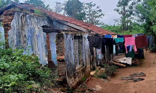 പാടികളിലെ തൊഴിലാളികൾക്ക് ദുരിതം പാടികളിലെ തൊഴിലാളികൾക്ക് ദുരിതം