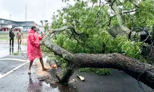 ഓ​ടി​ക്കൊ​ണ്ടി​രു​ന്ന കാ​റി​നു​മേ​ൽ മ​രം പൊ​ട്ടി​വീ​ണു