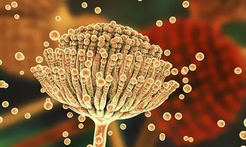 അന്തരീക്ഷ താപനില വർധിക്കുന്നതിനെതുടർന്ന് മനുഷ്യനെ കാർന്നു തിന്നുന്ന മാരക ഫംഗസുകൾ  ആഗോളതലത്തിൽ വ്യാപിക്കുമെന്ന് ഗവേഷകർ