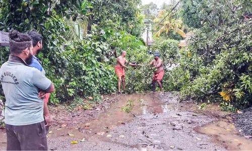 ജില്ലയിൽ കനത്ത മഴ; നദികളിൽ ജലനിരപ്പ് ഉയർന്നു
