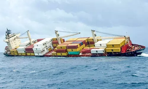 Kochi Ship Sinking, MSC ELSA 3