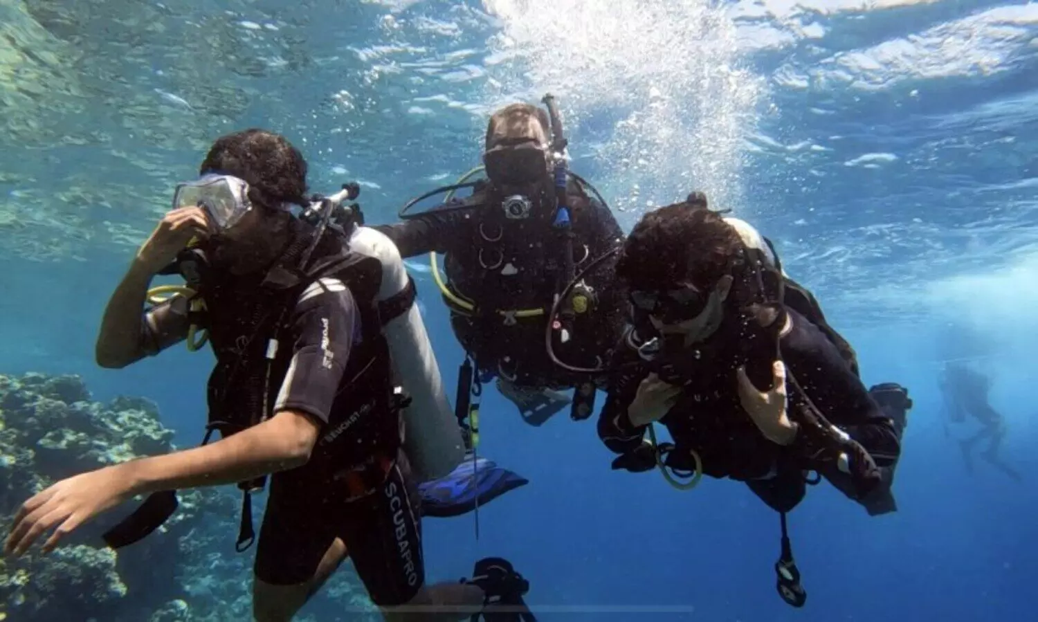 കടലിനടിയിലേക്ക്​ ഊളിയിടാം, അത്ഭുത രഹസ്യങ്ങൾ കാണാം; ജിദ്ദയിൽ സ്കൂബ ഡൈവിങ്ങിന്​ സൗകര്യമൊരുക്കി മലയാളി സഹോദരങ്ങൾ