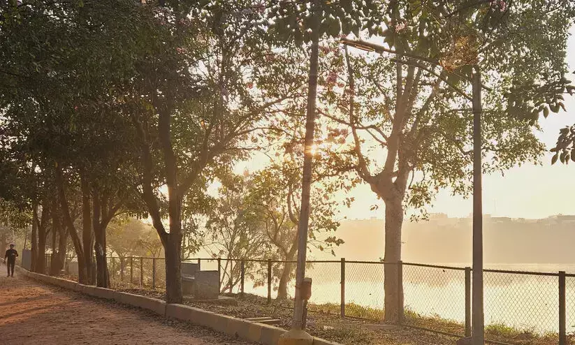 അഗാര പാർക്കിൽ സൈക്കിൾ യാത്രാ നിരോധനം നീക്കിയേക്കും അഗാര പാർക്കിൽ സൈക്കിൾ യാത്രാ നിരോധനം നീക്കിയേക്കും