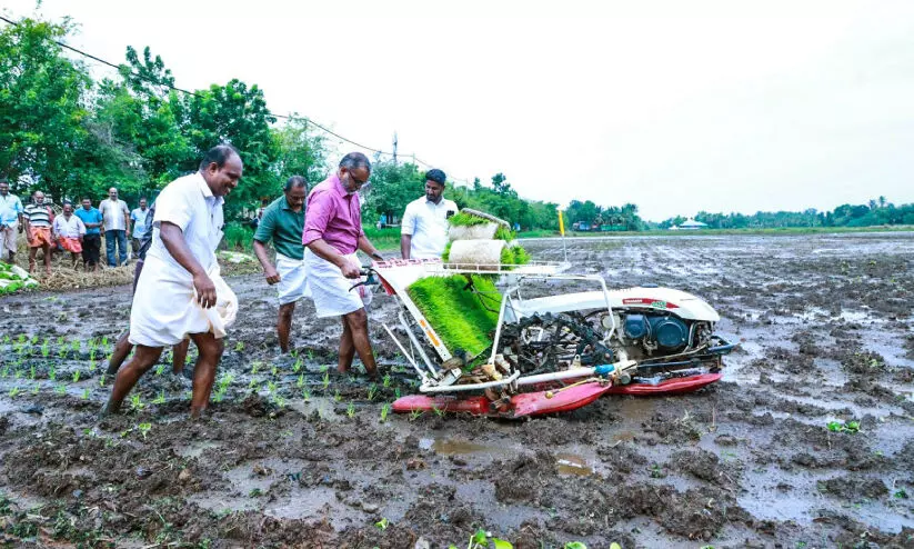 തിരുവാർപ്പിൽ ഞാറ്റടി മഹോത്സവത്തിന് തുടക്കം; കൃഷിയിൽ ആധുനിക സാങ്കേതിക വിദ്യ ഉപയോഗിക്കുമ്പോൾ കർഷകന്റെ ചെലവ് കുറയുമെന്ന് മന്ത്രി പ്രസാദ് തിരുവാർപ്പിൽ ഞാറ്റടി മഹോത്സവത്തിന് തുടക്കം; കൃഷിയിൽ ആധുനിക സാങ്കേതിക വിദ്യ ഉപയോഗിക്കുമ്പോൾ കർഷകന്റെ ചെലവ് കുറയുമെന്ന് മന്ത്രി പ്രസാദ്