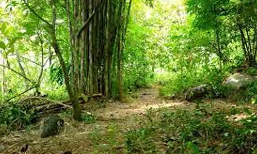 ഭൂ​മി​ക്ക​ടി​യി​ൽ​നി​ന്ന് മു​ഴ​ക്കം; ആ​ശ​ങ്ക വേ​ണ്ടെ​ന്ന് ജി​യോ​ള​ജി വ​കു​പ്പ്