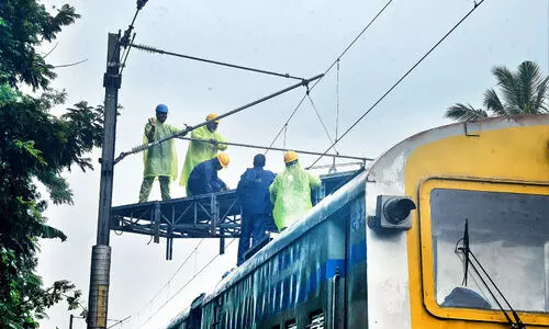 പാ​ള​ത്തി​ൽ മ​രം വീ​ണ് ഗ​താ​ഗ​ത​ക്കു​രു​ക്ക്: 15 ട്രെ​യി​നു​ക​ൾ വൈ​കി