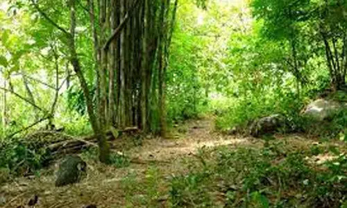 ഭൂ​മി​ക്ക​ടി​യി​ൽ​നി​ന്ന് മു​ഴ​ക്കം; ആ​ശ​ങ്ക വേ​ണ്ടെ​ന്ന് ജി​യോ​ള​ജി വ​കു​പ്പ്