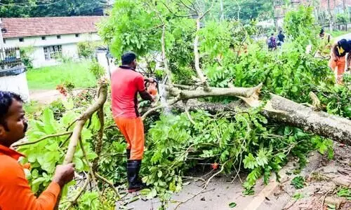 കാലവർഷം; ജില്ലയിൽ 390 വീടുകൾ തകർന്നു; ജില്ലയിൽ പരക്കെ നാശനഷ്ടം