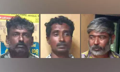 13.5 കിലോ കഞ്ചാവുമായി ആര്യങ്കാവിൽ മൂന്നുപേർ പിടിയിൽ