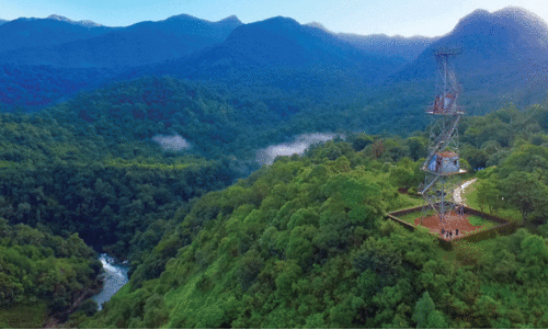 ‘പഠനയാത്ര പോകാം, പുതിയ അധ്യയന വർഷത്തിൽ’ -കേരളത്തിലെ പ്രധാന സ്പോട്ടുകൾ ‘പഠനയാത്ര പോകാം, പുതിയ അധ്യയന വർഷത്തിൽ’ -കേരളത്തിലെ പ്രധാന സ്പോട്ടുകൾ