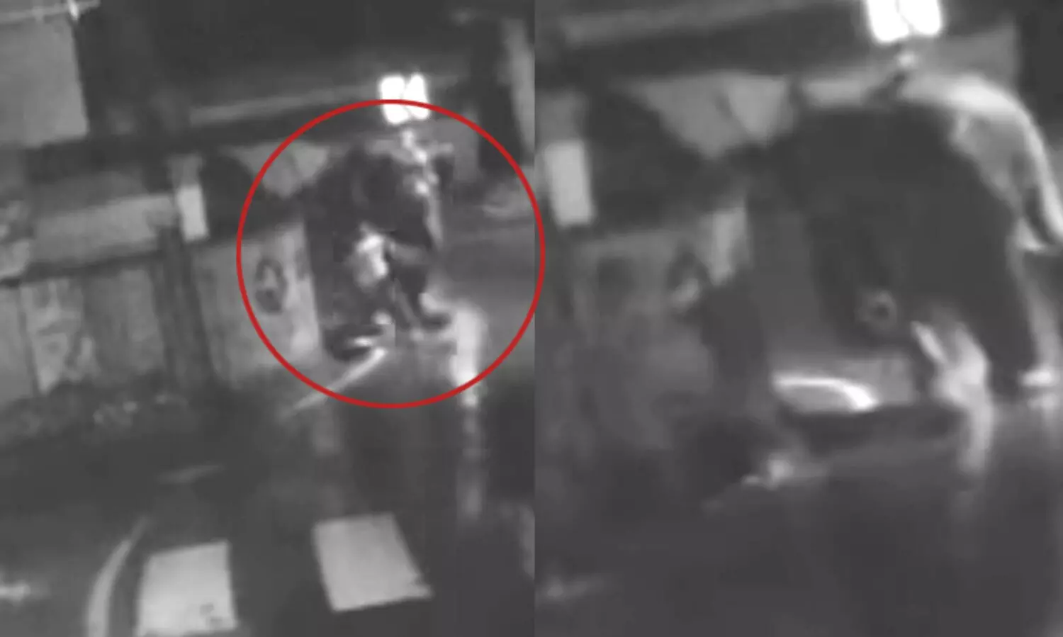 കാട്ടാനയിൽ നിന്നും പ്ലസ് ടു വിദ്യാർഥികൾ രക്ഷപ്പെട്ടത് തലനാരിഴക്ക്; ദൃശ്യങ്ങൾ കാണാം