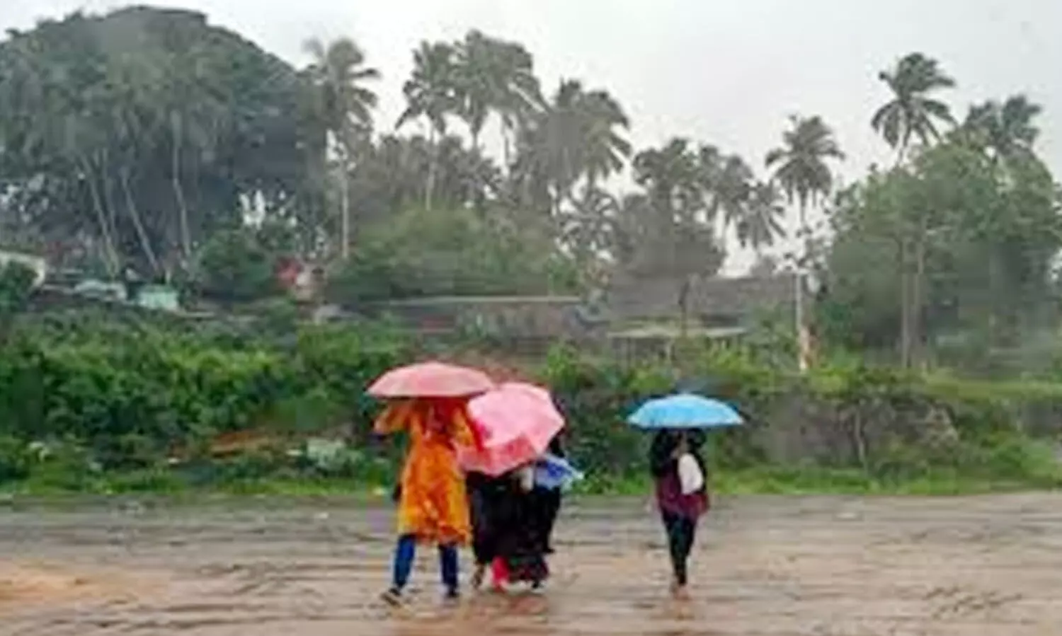 നാളെ ഇടുക്കിയിലെ വിദ്യാഭ്യാസ സ്ഥാപനങ്ങൾക്ക് അവധി