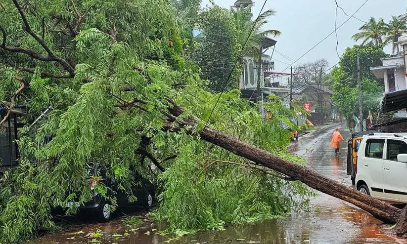സംസ്ഥാനത്ത് മഴ കനക്കുന്നു; വ്യാപക നാശനഷ്ടം, കരിപ്പൂർ വിമാനത്താവളത്തിന്‍റെ മതിൽ തകർന്നു