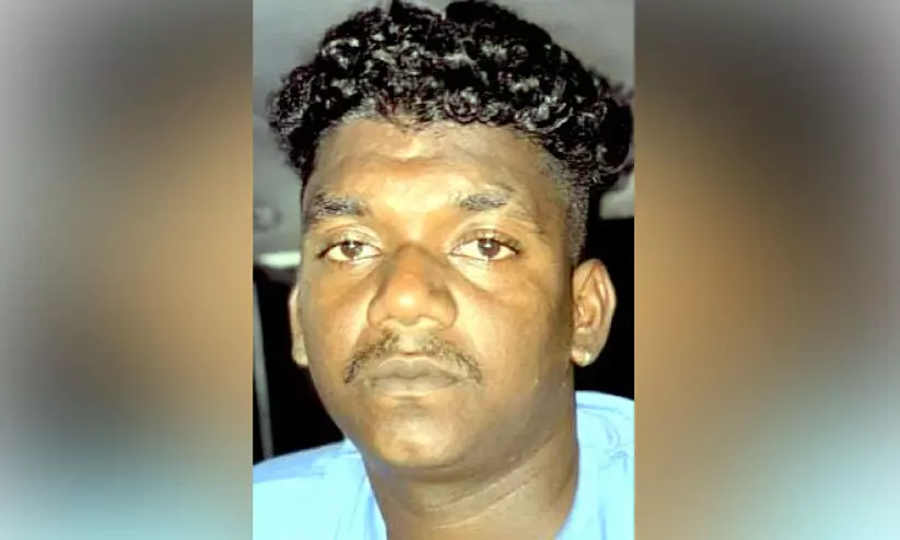 ക്രി​മി​ന​ൽ ​കേ​സു​ക​ളി​ലെ ​പ്ര​തി ക​ഞ്ചാ​വു​മാ​യി പി​ടി​യി​ൽ