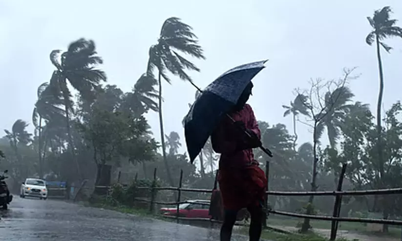 മഴക്ക് നേരിയ ശമനം; നാല് ജില്ലകളില് യെല്ലോ അലെർട്ട് മഴക്ക് നേരിയ ശമനം; നാല് ജില്ലകളില് യെല്ലോ അലെർട്ട്