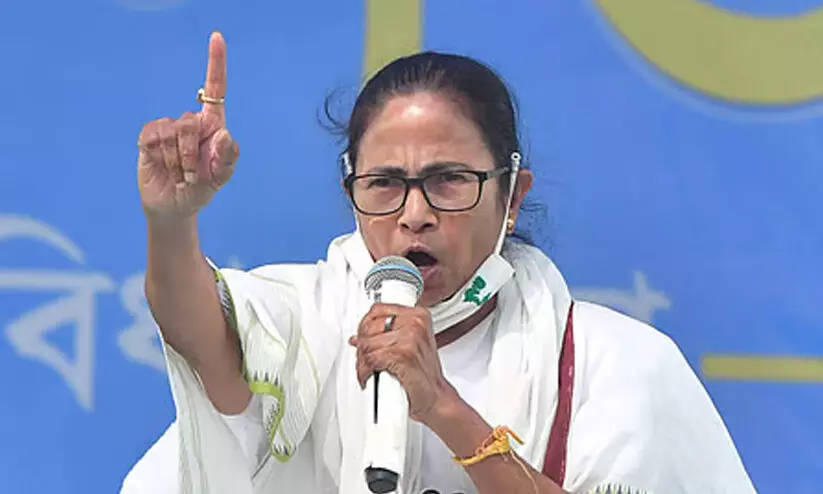 mamata mamata